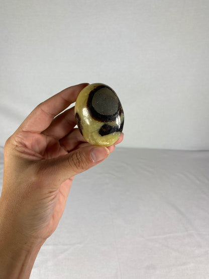 Madagascan Polished Septarian Palm Stone (E)