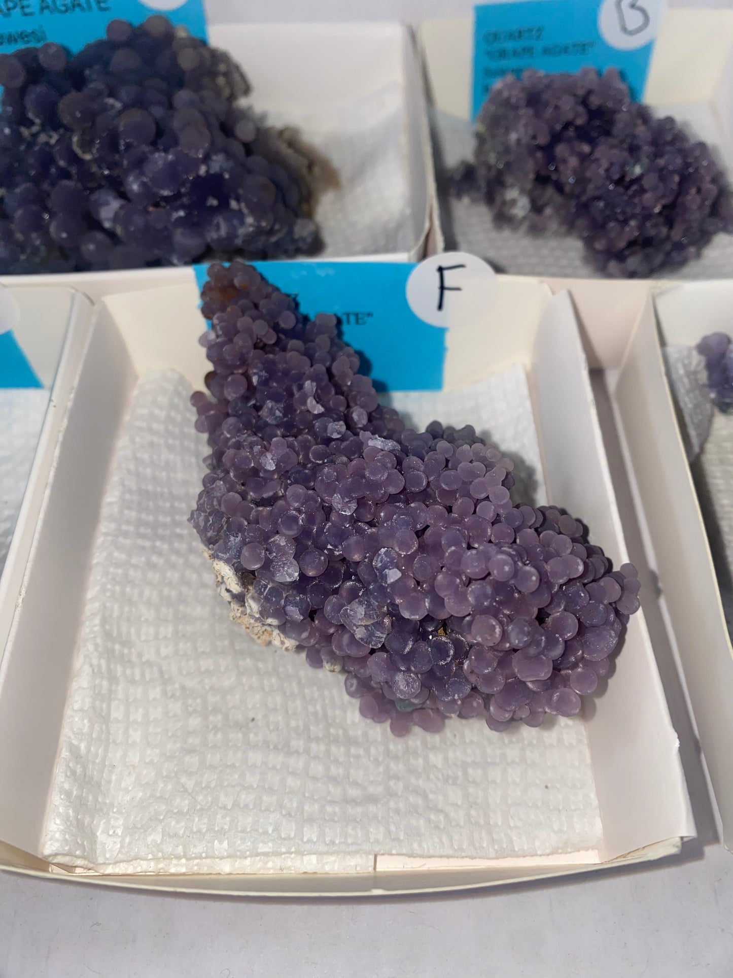 Indonesian Grape Agate Specimen