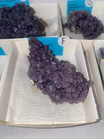 Indonesian Grape Agate Specimen