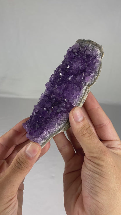 Brazilian Amethyst Specimen (W)