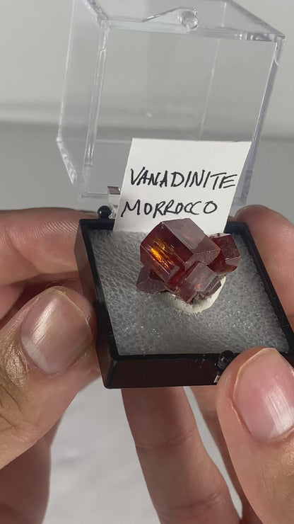 Moroccan Vanadinite Thumbnail Specimen (Pre-Done F)