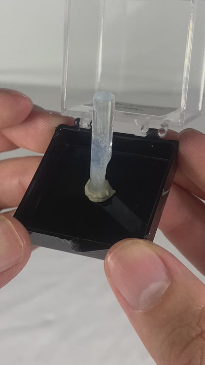 Pakistani Aquamarine Thumbnail Specimen (S)