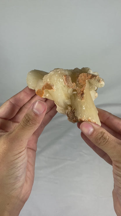 Indian Zeolite Specimen (Medium U)