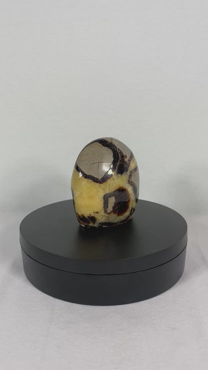 Madagascan Polished Septarian Mountain (P)