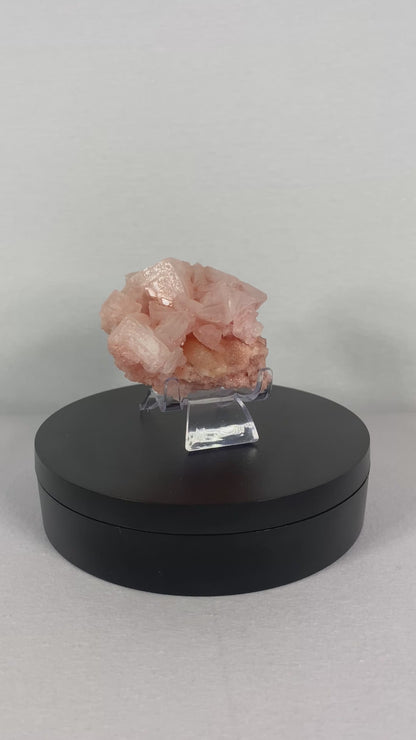 Californian Pink Halite Specimen (E)