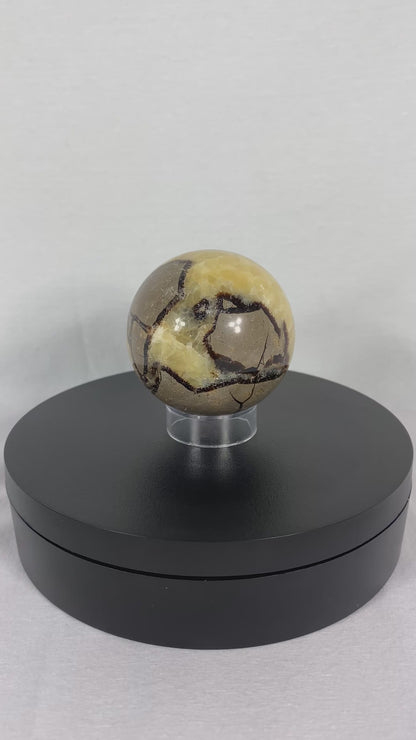 Madagascan Polished Septarian Sphere (R)