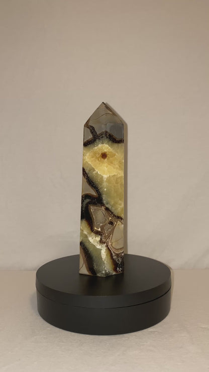 Madagascan Polished Septarian Tower (E)