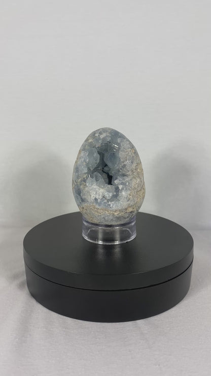 Madagascan Celestite Egg (M)