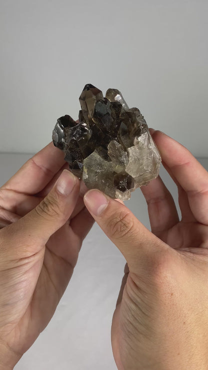 Brazilian Smokey Quartz Specimen (R)