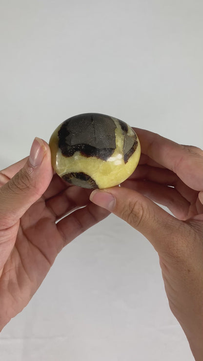 Madagascan Polished Septarian Palm Stone (E)