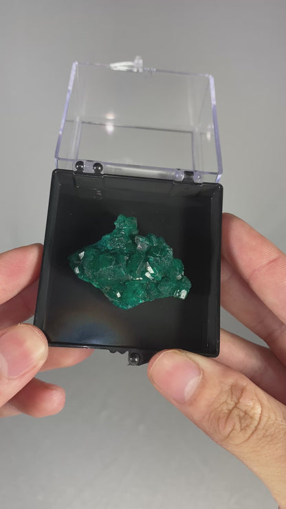 Dioptase Thumbnail Specimen (B)
