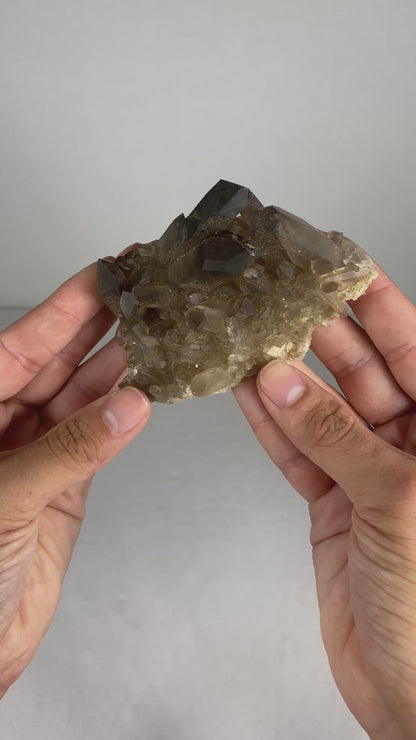 Brazilian Smokey Quartz Specimen (L)