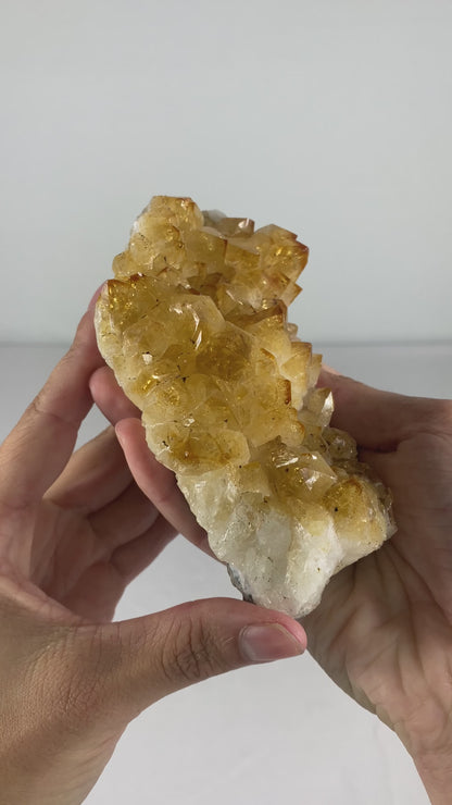 Brazilian Citrine Specimen (D)