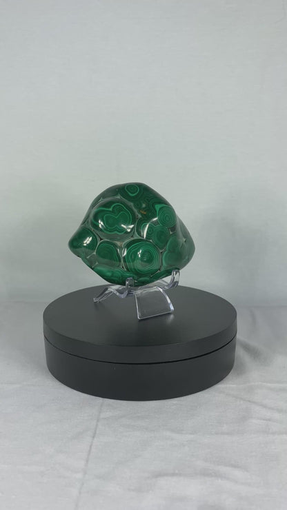 African Polished Malachite Specimen (C)