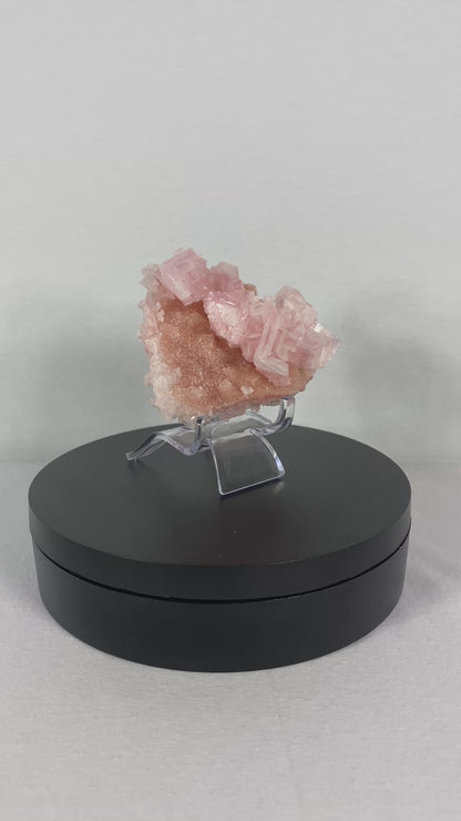 Californian Pink Halite Specimen (F)