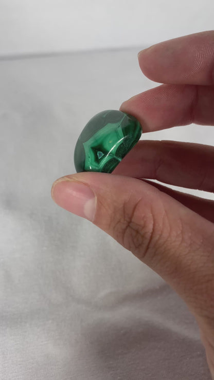 African Polished Malachite Specimen (L)