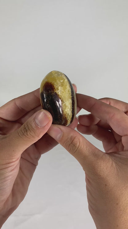 Madagascan Polished Septarian Palm Stone (K)