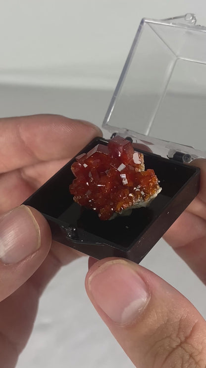 Moroccan Vanadinite Thumbnail Specimen (Small L)