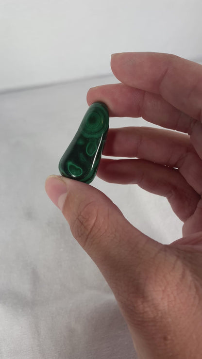 African Polished Malachite Specimen (H)
