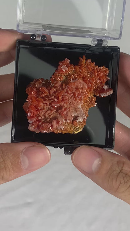 Moroccan Vanadinite Thumbnail Specimen (Medium F)