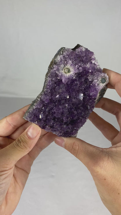 Brazilian Amethyst Specimen (S)