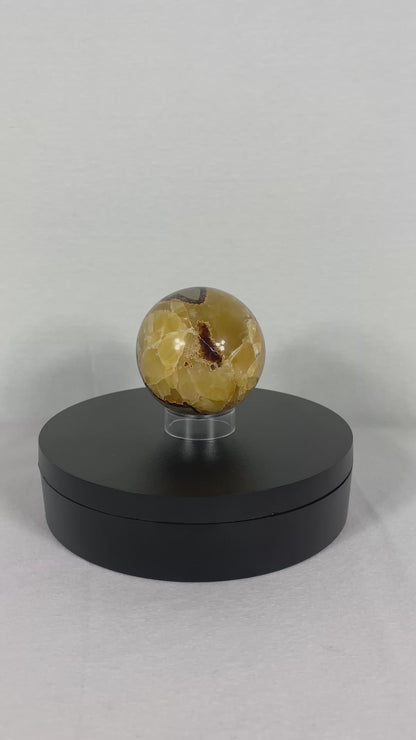 Madagascan Polished Septarian Sphere (P)
