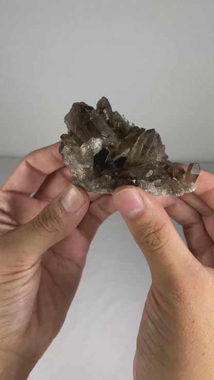 Brazilian Smokey Quartz Specimen (P)