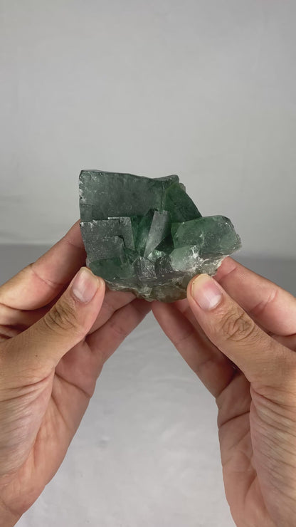 Madagascan Cubic Green Fluorite Specimen (H)