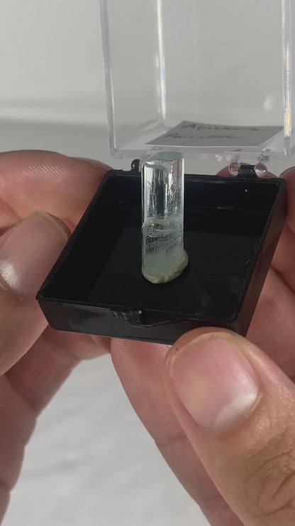 Pakistani Aquamarine Thumbnail Specimen (P)