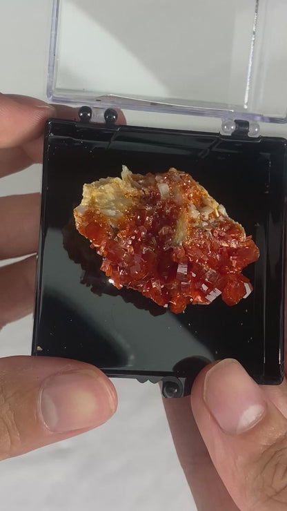 Moroccan Vanadinite Thumbnail Specimen (Medium D)