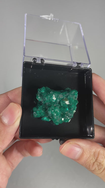 Dioptase Thumbnail Specimen (A)