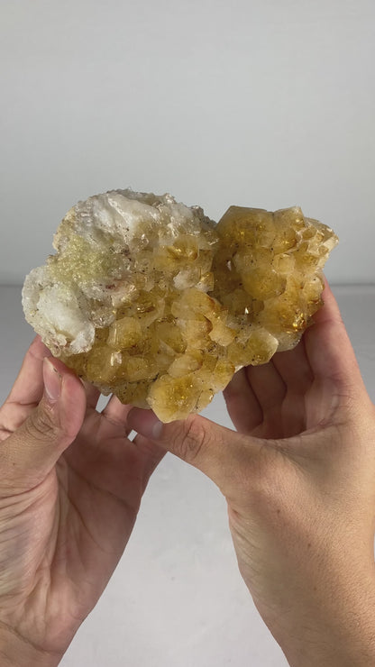 Brazilian Citrine Specimen (G)