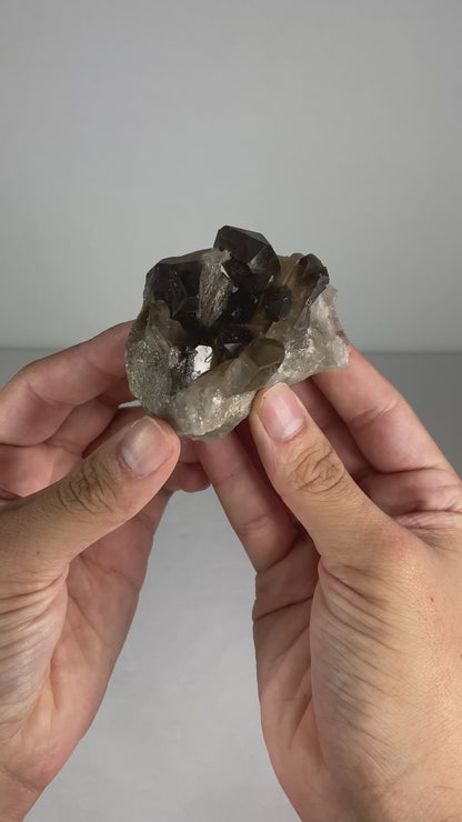 Brazilian Smokey Quartz Specimen (B)