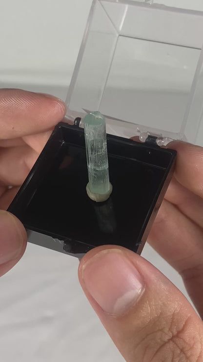 Pakistani Aquamarine Thumbnail Specimen (E)