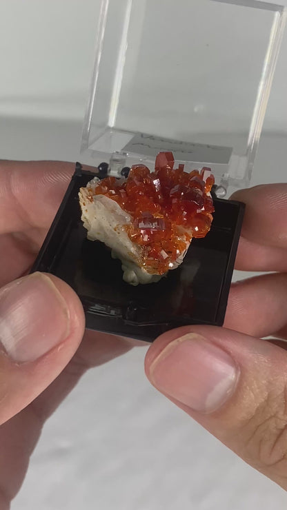 Moroccan Vanadinite Thumbnail Specimen (Small H)