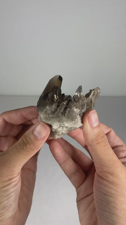 Brazilian Smokey Quartz Specimen (F)