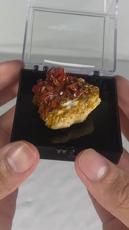 Moroccan Vanadinite Thumbnail Specimen (Medium B)
