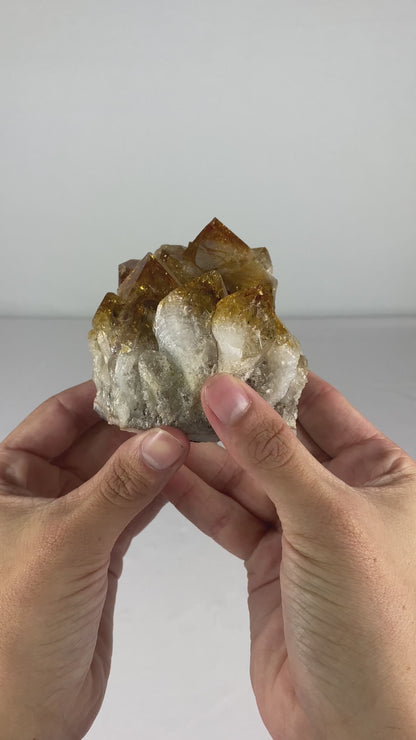 Brazilian Citrine Specimen (F)