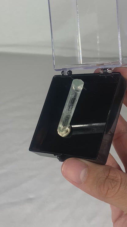 Pakistani Aquamarine Thumbnail Specimen (W)