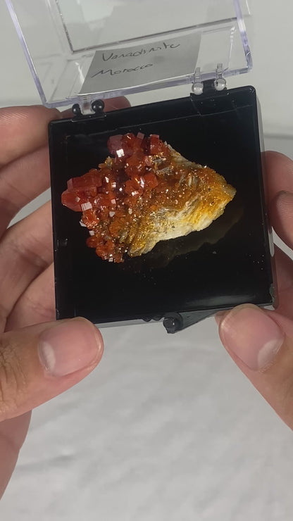 Moroccan Vanadinite Thumbnail Specimen (Medium A)