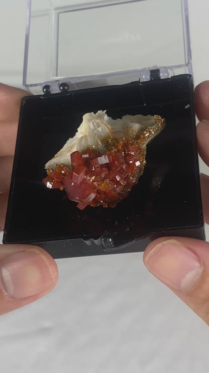 Moroccan Vanadinite Thumbnail Specimen (Medium E)