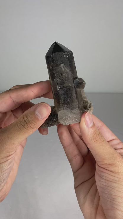Brazilian Smokey Quartz Specimen (M)