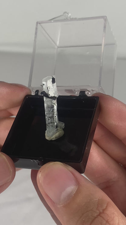 Pakistani Aquamarine Thumbnail Specimen (R)