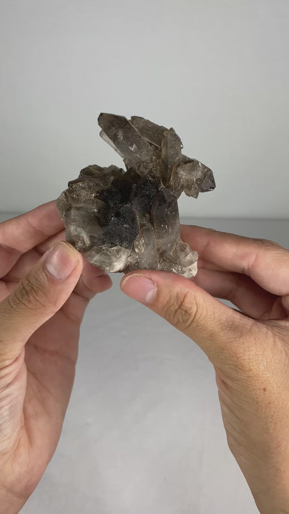 Brazilian Smokey Quartz Specimen (O)