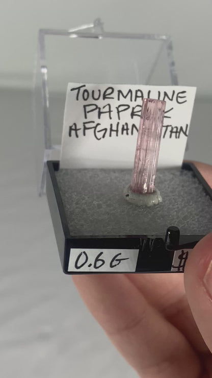 Pink Tourmaline Thumbnail Specimen From Afghanistan (Pre-Done A)