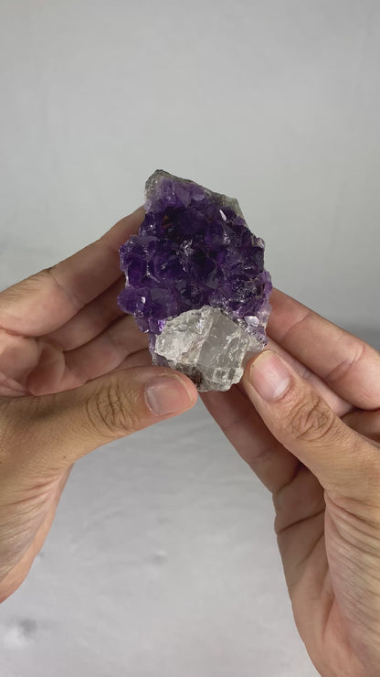 Brazilian Amethyst Specimen (N)