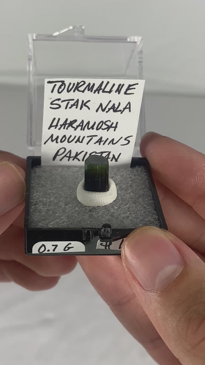 Pakistani Green Tourmaline Thumbnail Specimen (Pre-Done H)
