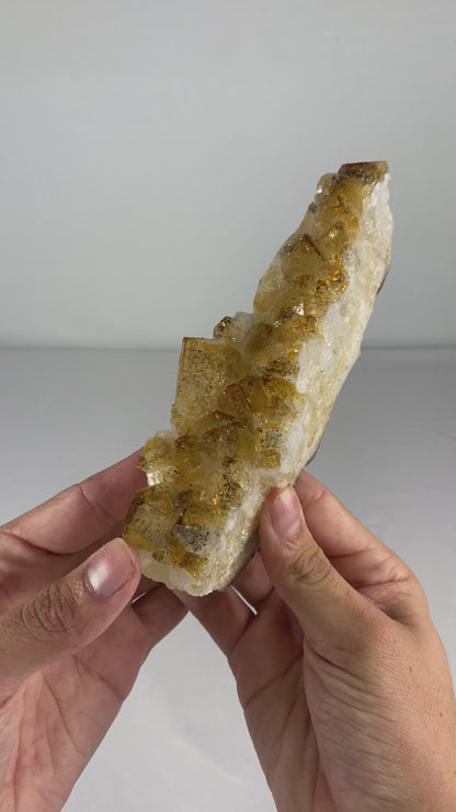 Brazilian Citrine Specimen (I)