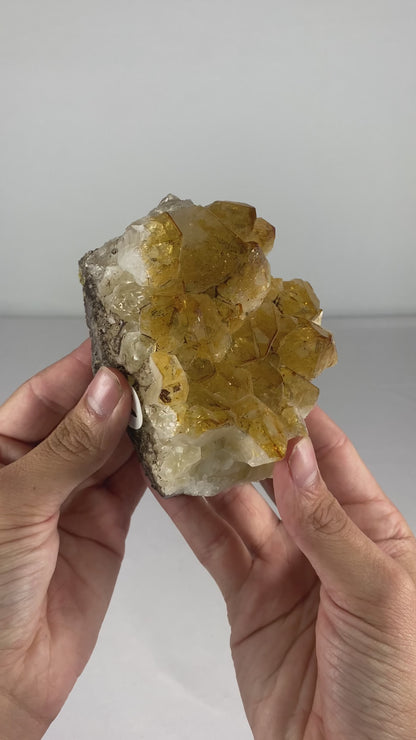 Brazilian Citrine Specimen (M)