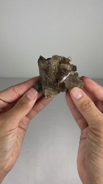 Brazilian Smokey Quartz Specimen (H)